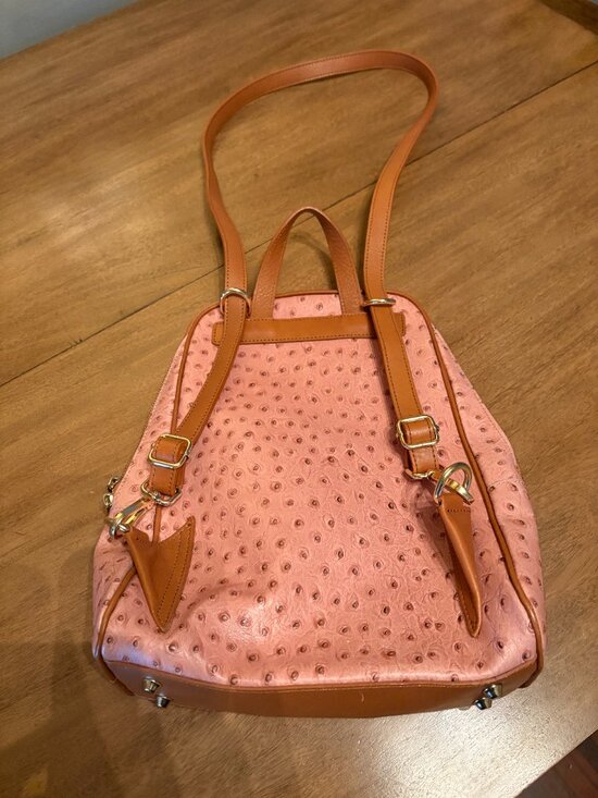 NWOT Rare Valentina Italian Ostrich Leather Backpack/Handle Bag. main image 13